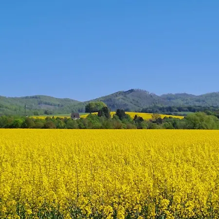 Апартаменты Hearzzeit